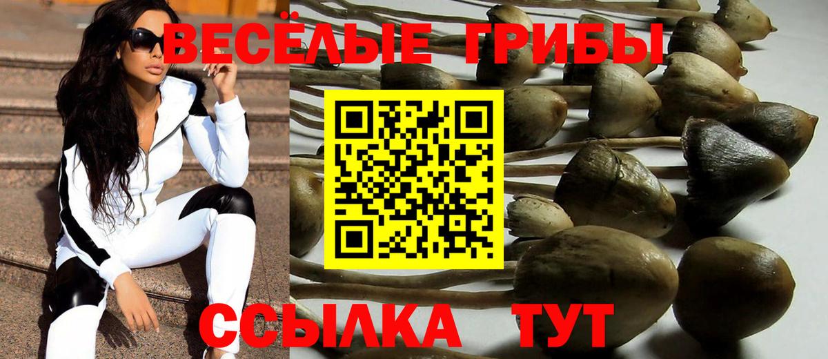 Алексеевка  Галлюциногенные грибы MAGIC MUSHROOMS  Псилоцибиновые грибы прущие грибы  Вход с VPN 