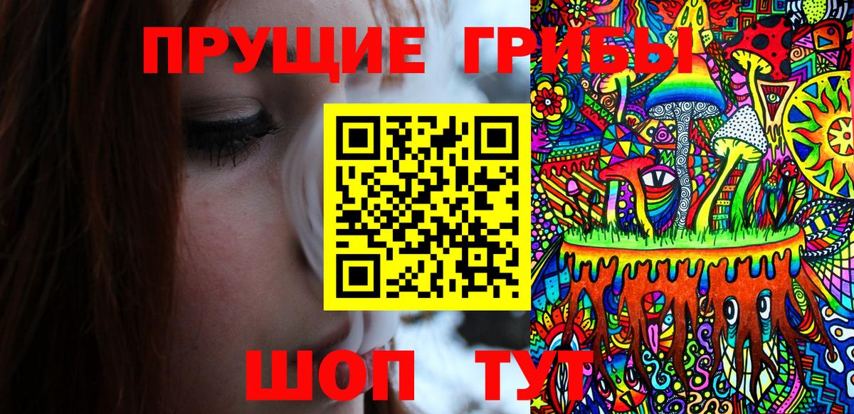 Галлюциногенные грибы Cubensis Алексеевка